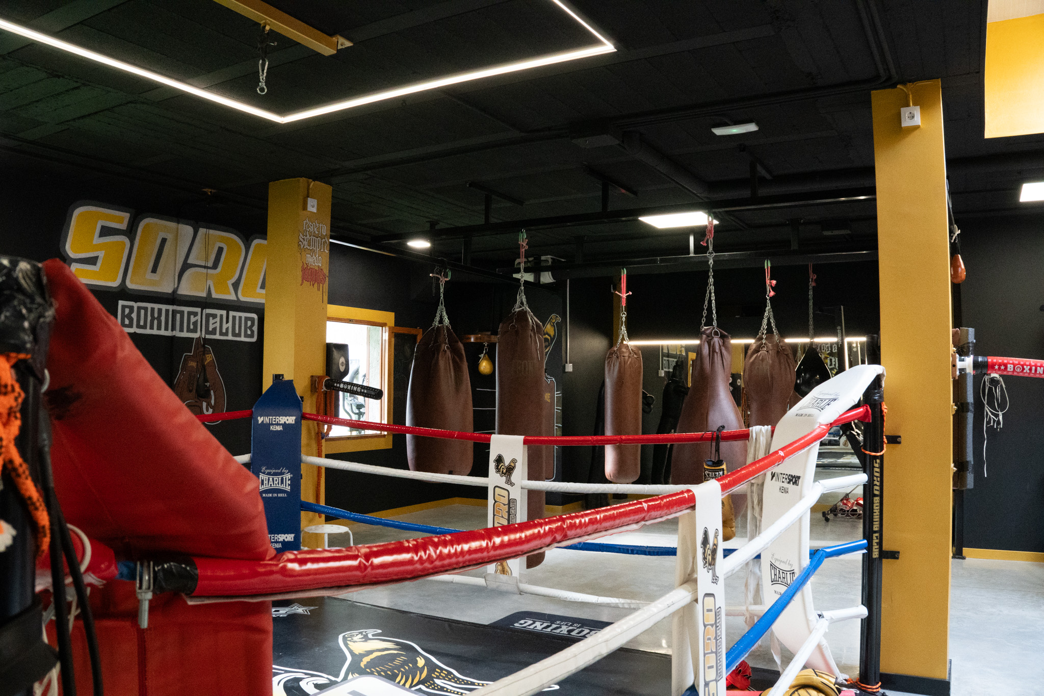 Ring Principal - Vista lateral